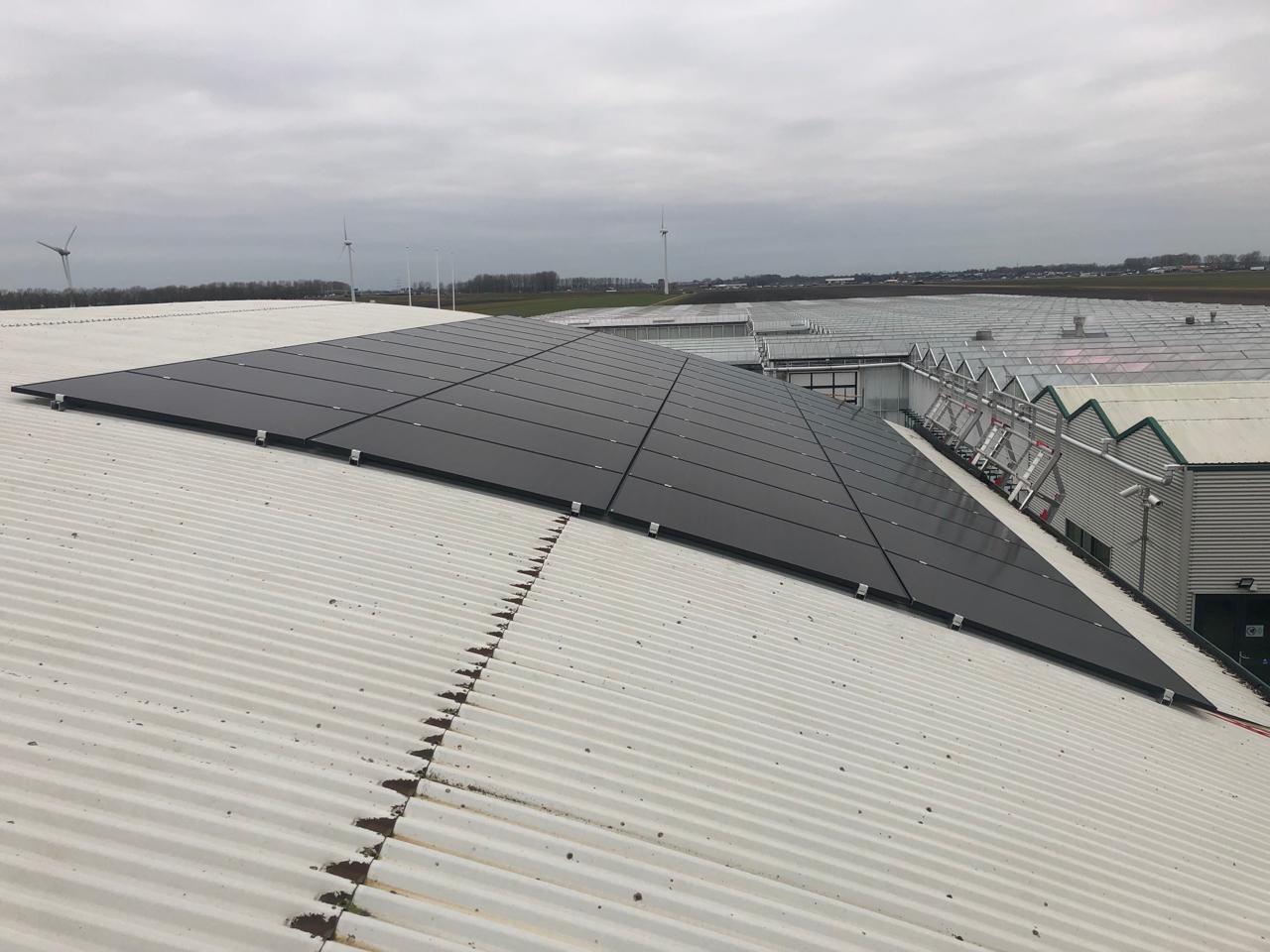 Zwarte zonnepanelen op een wit golfplaten dak