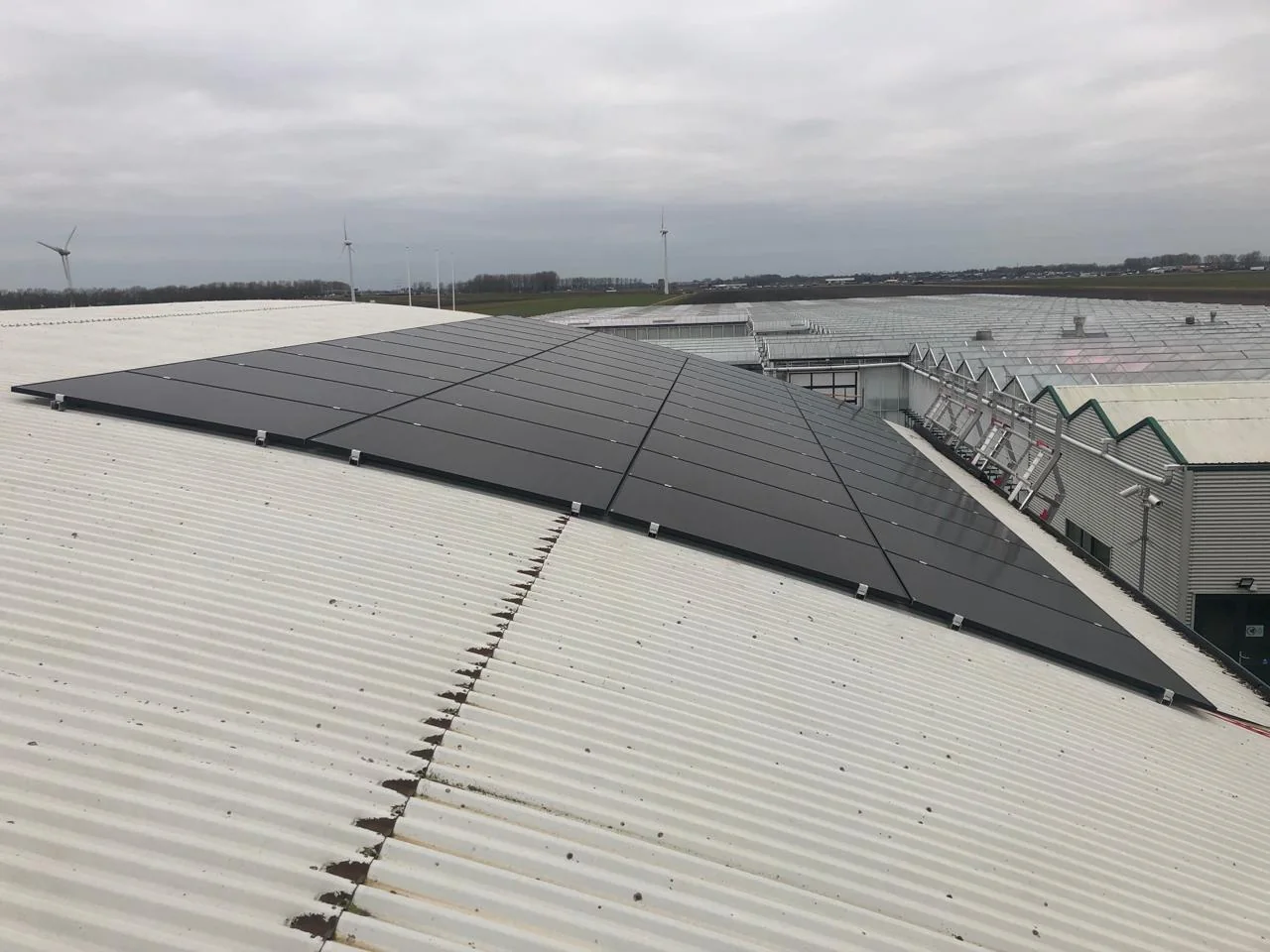 Groot paneelveld van GS Solar op het metalen dak van een bedrijfshal